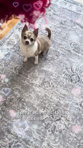 What’s my new hobby 🫣