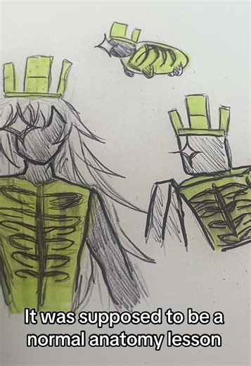 Understanding Anatomy Through Fun Sketches