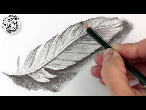 How to Draw a Feather with Pencil | Drawing Techniques Narrated in Spanish
