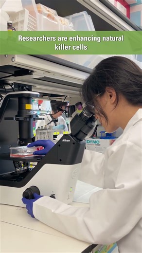 How natural killer cells are being engineered to target cancer #Shorts
