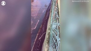 Red wine flows through village in Portugal