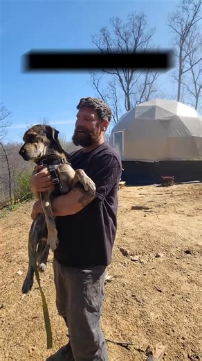 A fred update with good news. Animal Rescue Story #dogsoftiktok #animalrescue #animalrescuestory #bekindtoanimals #fred #dogsofttiktok #animalsoftiktok | Off Grid & Growing