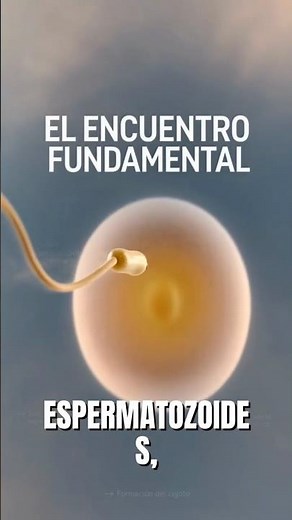 ¿Cómo SE CREA la VIDA? El SECRETO OCULTO de la FECUNDACIÓN del ÓVULO #sabiasque #anatomiafacil
