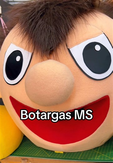 Botargas MS: Pide tu cotización y sorpréndete