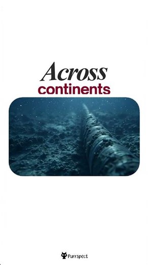 What Really Happens When You Open a Website #TechExplained #HowTheInternetWorks #Technology