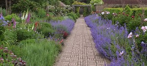 Green-Friendly Garden Pathway Ideas | DoItYourself.com