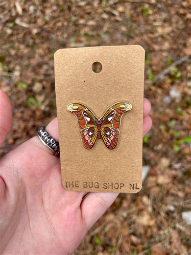 Atlas Moth Enamel Pin – Gold-plated Insect Lapel Pin - Etsy