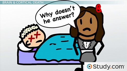 Death | Definition & Types