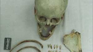 Missing nursing student Holly Bobo's remains are found by ginseng hunters