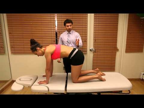 Clinician Education: How To Teach Multifidus Progressions - Progression 1