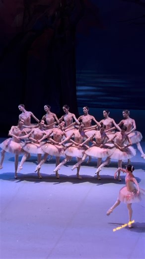 Илья Крылов on Instagram: "The Sleeping Beauty 🏛️ Bolshoi Moscow Ballet Балет Большой Театр"