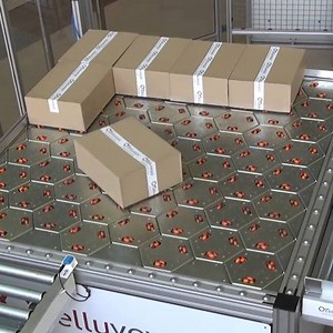 369K views · 6.3K reactions | This conveyor belt is omnidirectional  via Celluveyor | Inventions & Creations | Facebook