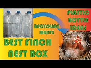 How to make finch nest using plastic bottles | DIY finch nest | Recycling art and crafts