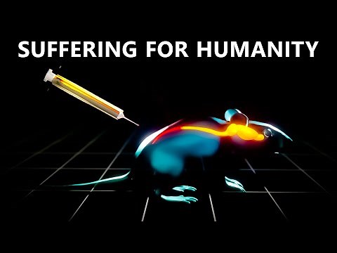 Animal Testing on Trial | Planet E | Full Documentary