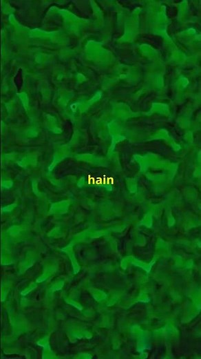 How Cyanobacteria and the Great Oxygenation Event Made Earth Breathable