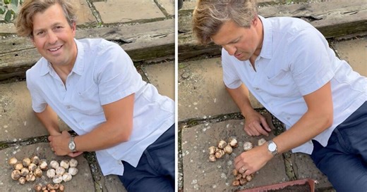 Gardener Tom Strowlger shares how to plant a 'bulb lasagne'