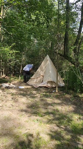 10K views · 304 reactions | We just cleared the land and set up our...