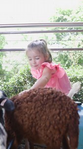 45 reactions · 5 comments | Eat, play, relax — your local for family-friendly vibes every day of the week  | Springlake Hotel | Facebook