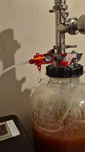 Pressure fermenting a strawberry and pear cider