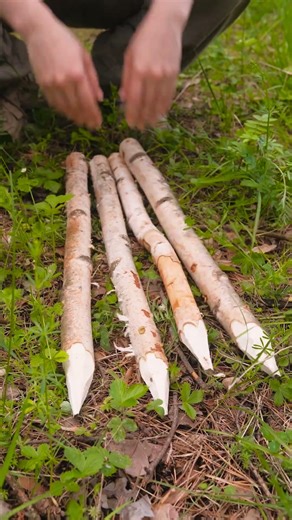 Unleash Your Inner Survivalist! 🌲🔥 #CraftyAdventures #OutdoorMagic #DIYQueen