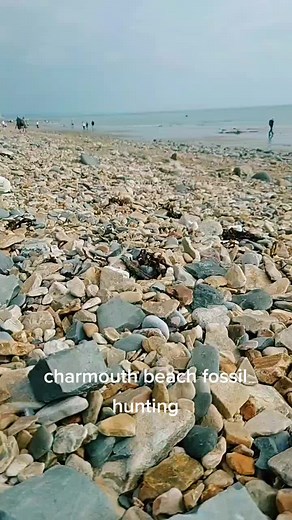 Fossil Hunting at Charmouth Beach in Dorset