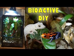 ♢ DIY Bioactive Terrarium♢