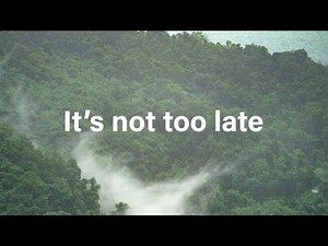COP28: Our Lifeline to Course Correct