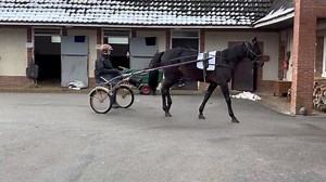 Harness Racing Victoria on Reels
