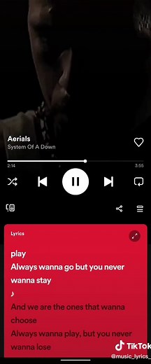 System of a Down - Aerials Lyrics