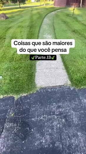 Coisas que São Maiores do Que Você Pensa! Pt.14