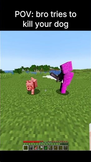 POV: Bro Tries To Kill Your Minecraft Dog...