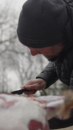 Basic Deer Butchering Techniques for Beginners