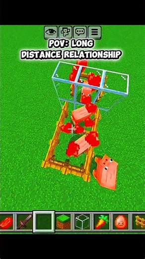 Pov: Long distance relationship in #minecraft