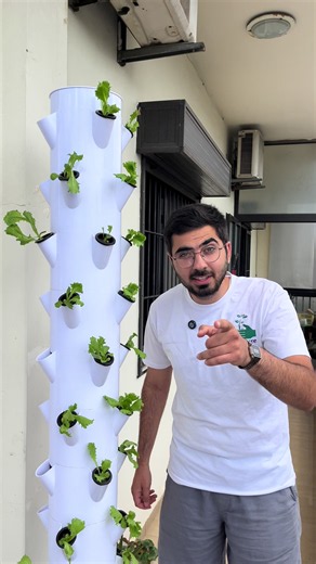 Hydroponic Tower: Fresh Veggies on Your Balcony