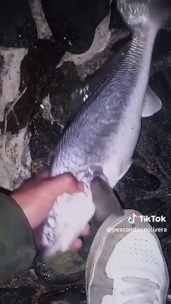 burriqueta XL 🎣#viraltiktok #paratiiiiiiiiiiiiiiiiiiiiiiiiiiiiiii