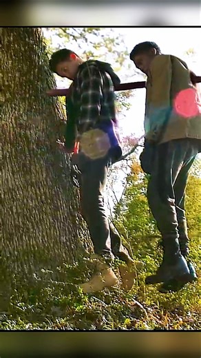 Monster’s Brutal Hunt |You Won’t Believe This Final Scene|Jeepers Creeper3#usa#shortvideo#scary#clip