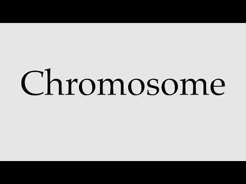 How to Pronounce Chromosome