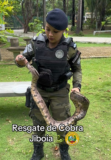 #cobra #resgateanimal #segurancapublica #fyyy