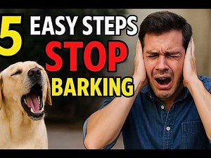 5 Easy Steps to Stop Your Dog's Excessive Barking