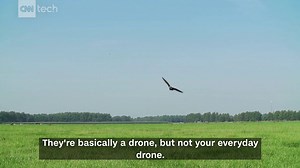 60K views · 1K reactions | It's a bird! It's a plane! It's...Robird. And farmers love it... | CNN Business | Facebook