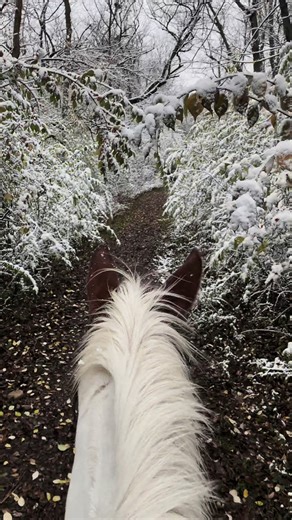 Core Memories: Exploring Victorian Fantasy with Horses
