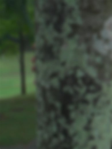 When everything’s nearby at IOI Resort City, but the one thing you just can’t escape… your annoying dad! #IOIProperties #IOIResortCity