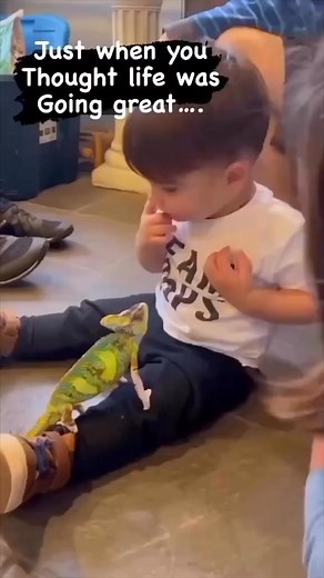 🤣 • @colin_firth_museum @chameleontold | The Daily Dose