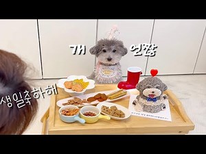 The reason why I got so mad on my dog's birthday..!!ㅋㅋㅋㅋ