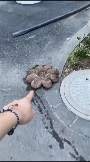 Dirty Pillow 🥰~New Viral Gadgets, Smart Appliances, Kitchen Utensils/ Home Inventions #shorts #viral