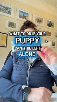 How to Stop Your Puppy Struggling When Left Alone