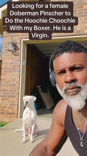 You should google this mix. | dog