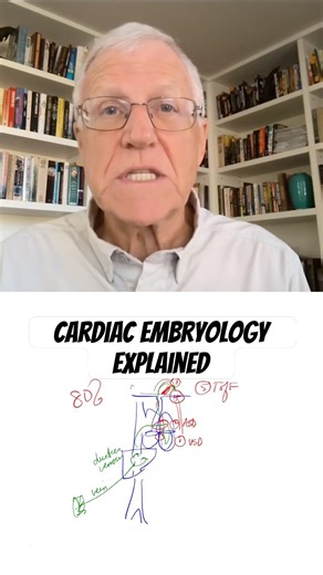 Why Cardiology Doesn’t Make Sense (Until This)