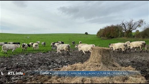 L'agriculture représente 11% des émissions de gaz à effet de serre belges
