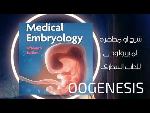 علم الاجنة Embryology اول محاضرة (Oogenesis)